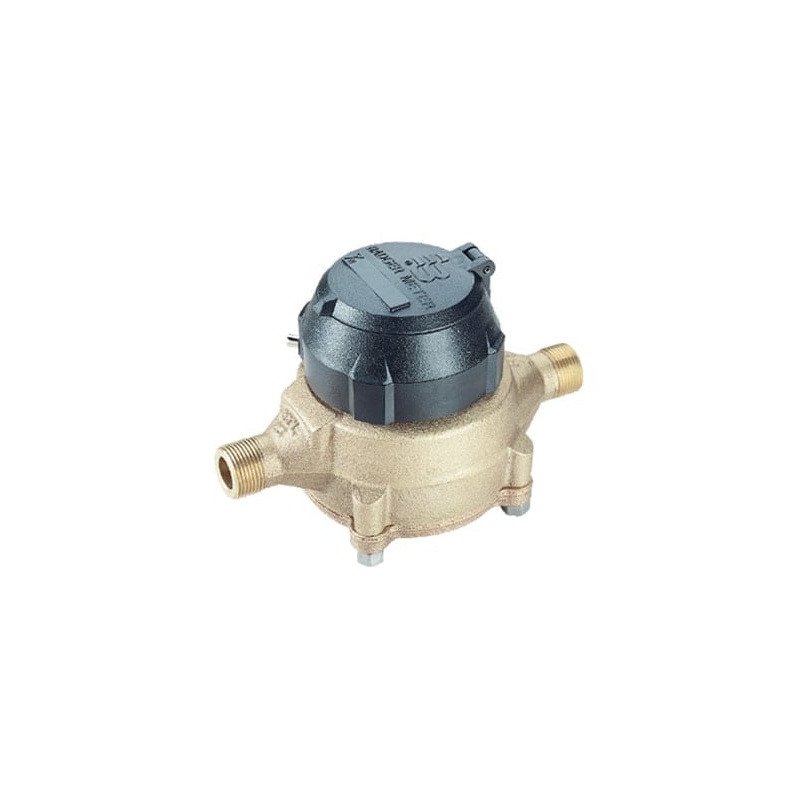 Изображение товара: BADGER METER WCM255164