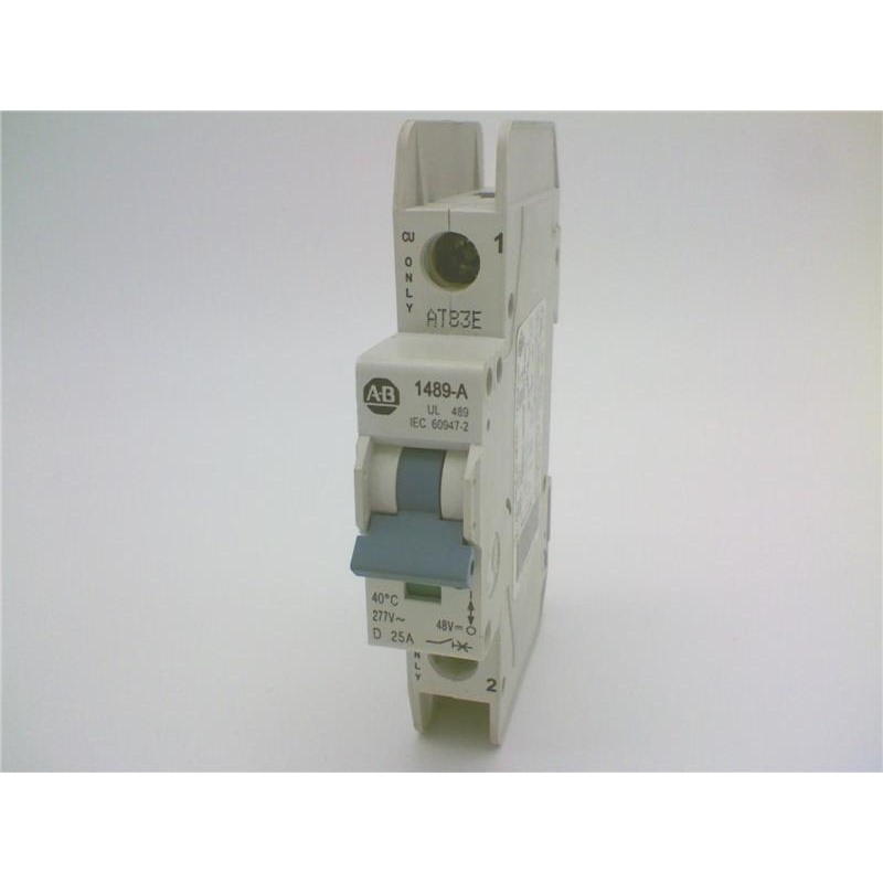 Изображение товара: ALLEN BRADLEY 1489-A1D250