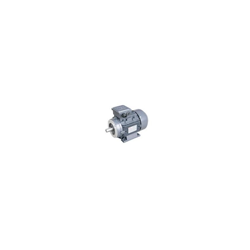 Изображение товара: WEG ZS1138770