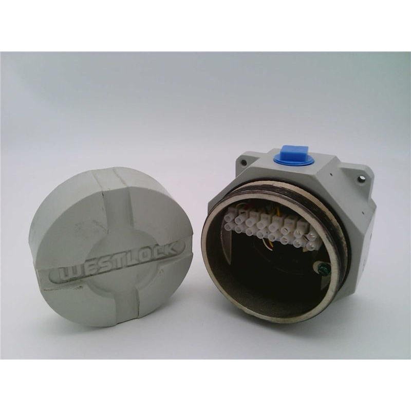 Изображение товара: WESTLOCK WD-10762