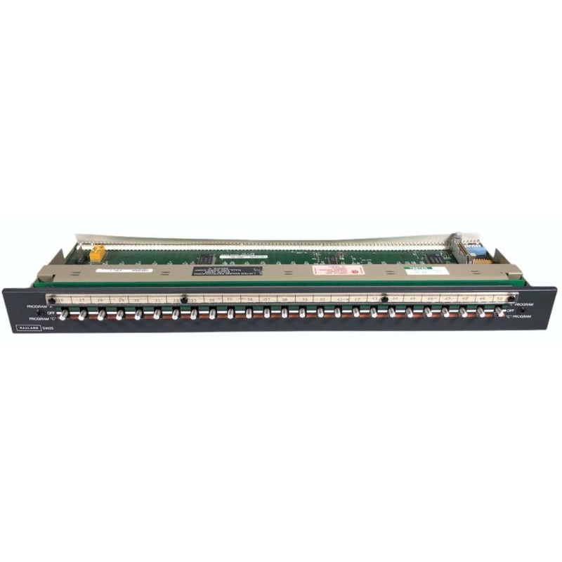 Изображение товара: RAULAND BORG SW25