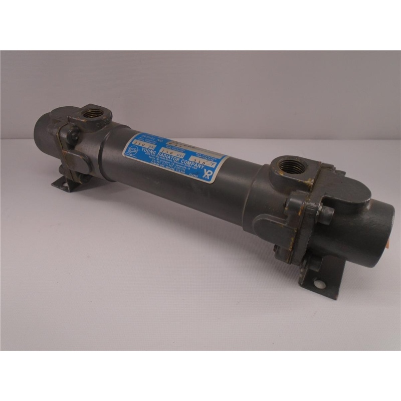 Изображение товара: YOUNG RADIATOR HF201HY1P