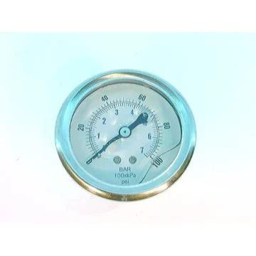 Жидконаполненный манометр LFSB25-100