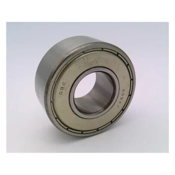 55607