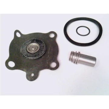 REBUILD KIT 100691