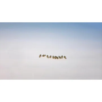 Штуцер шланга 11750-2