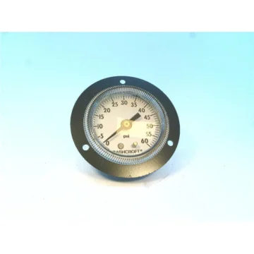 GAUGE 595-05