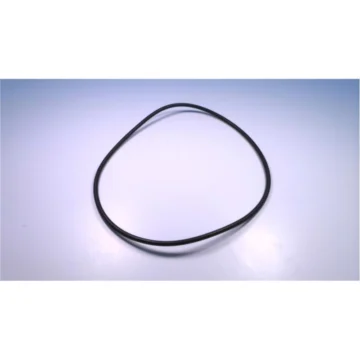 Уплотнительное кольцо 560022360