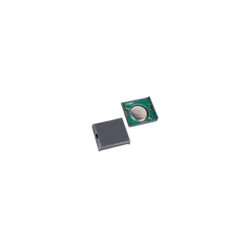 Часы реального времени DS9034I-PCX+