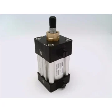 Пневматический цилиндр 02.00-CF4MAU14AC-1.000