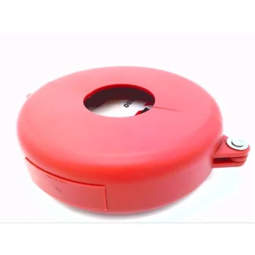 65562