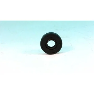 Масляное уплотнение 10X25X7-R2LS32-S